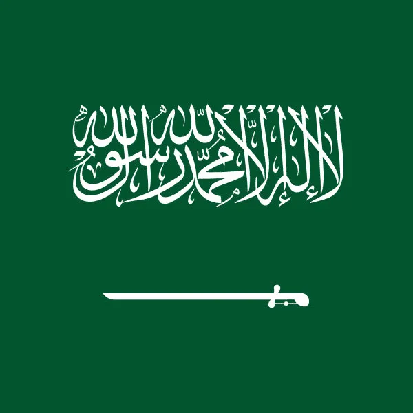 Arabic Language Option